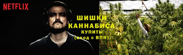 бошки Алексин