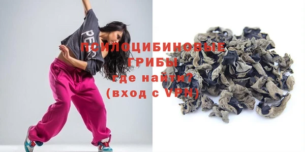 стаф Алексеевка