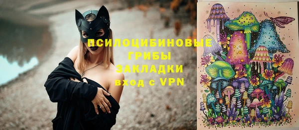 бошки Алексин
