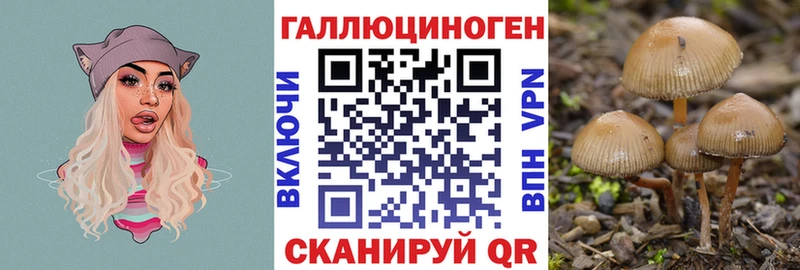 Псилоцибиновые грибы ЛСД  маркетплейс какой сайт  Йошкар-Ола 