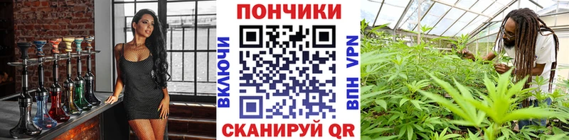 Канабис семена  купить наркотики сайты  Йошкар-Ола 